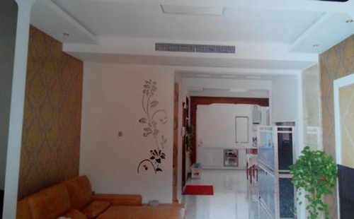 中央糖心VLOG怎么下载风道清洗